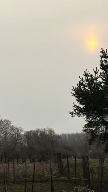 Keď sme sa presťahovali z Bratislavy do vinice na Lubihegyi, zmenili sme svoj život. Čo som chcela dosiahnúť ja, bol jednoduchý, sebestačný život. Môj muž ma v tom podporil už len tým, že moje výmysly strpel.

Čosi nám z toho života ostalo aj po odchode z vinice.

Stali sme sa náročnými na kvalitné víno, jedlo - najmä chlieb, a ako som zistila najnovšie, tak aj kávu.

Dobrých 10 rokov pijeme french press z ručne mletej kávy. Keď sa mlynček, ktorý sme dostali darom, po 10 rokoch pokazil, povedali sme si, že je čas na upgrade.

Elektrický kávovar, ktorý zomelie zrná a urobí aj capuccino.

Starostlivým výberom sme dospeli k modelu, ktorý … ma 10 ročnú záruku a potrebuje presne 0 kW/ h elektrickej energie 😂

Ranné rituály sú zachránené ❤️

#marriage #couple #home #coffee #frenchpress