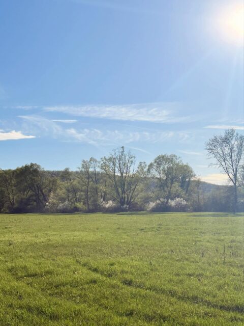 „Letíte na vesmírnej lodi menom Zem, ktorá bola stvorená, aby nám dala miesto pre život vo vesmíre. Verte mi — ste výnimoční.”
— Victor Glover, astronaut NASA, misia Artemis II, apríl 2026

Victor Glover (veľkonočný odkaz z vesmíru, 4. apríla)