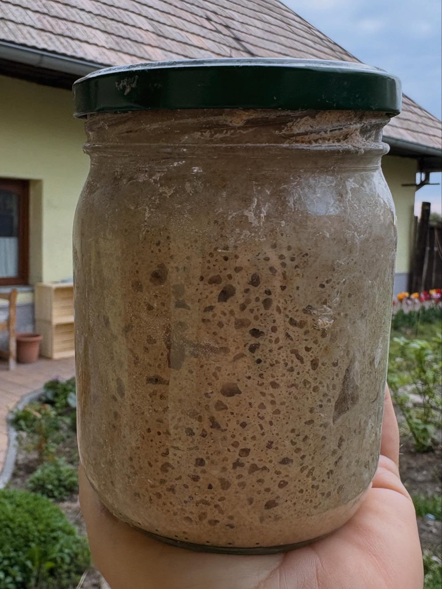 Príspevok na želanie 🌞 Ako rozpoznať, že kvások je pripravený.

Takto.

Na obrázku je 200 g ražného kvásku (pohár je 500 ml). Po preložení kvásku do misy v ňom ostane prinajlepšom 1 lyžica kvásku, občas ani toľko nie. Stačí do pohára nasypať zase ražnú celozrnnú múku (4 kopcovité PL), zaliať vodou, aby vzniklo husté cesto a o 4-6 hodín na linke alebo 12-24 hodín v chladničke možno zase piecť. 

Ak je kvások hustý, vydrží v chladničke aj 3-4 dni bez prikrmovania, ale pred pečením už treba dať mu trochu múky a času na nový štart. To už treba poznať svoj kvások 😌

#sourdough #bread #baking #tesmackydvor #spozaplota