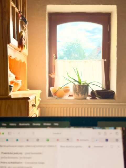 Nechcem sa rúhať, ale advent by mal byť v marci. V marci s rýľom v ruke a semienkami pripravenými na výsev žijeme vieru a nádej, lásku k svojmu kúsku zeme a mier v duši. 

#sahy #spring #garden #tesmackydvor #tešmak