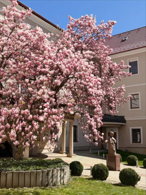 Jeden jeden deň, jeden svet, jeden život.
A toľko premien v ňom.
#vďačná❤️