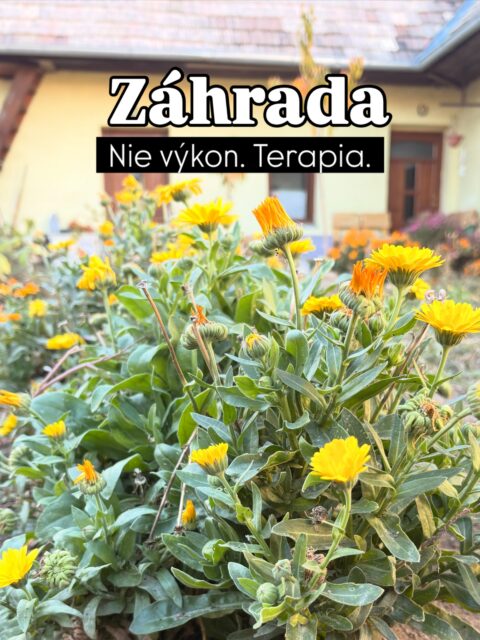 #mentoring #tesmackydvor #zahrada #millenial #genx